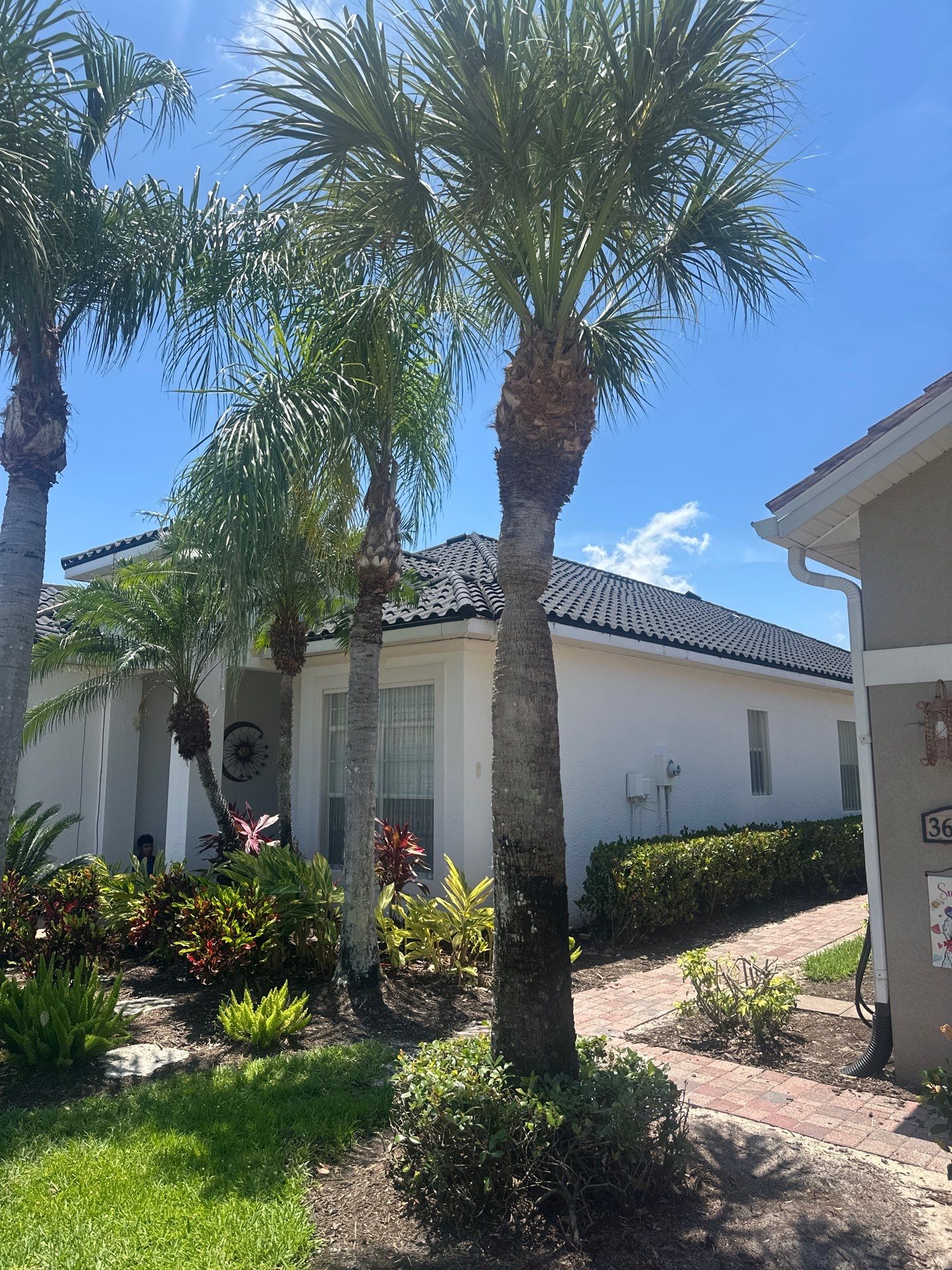 Plywood roof deck installation progress aerial