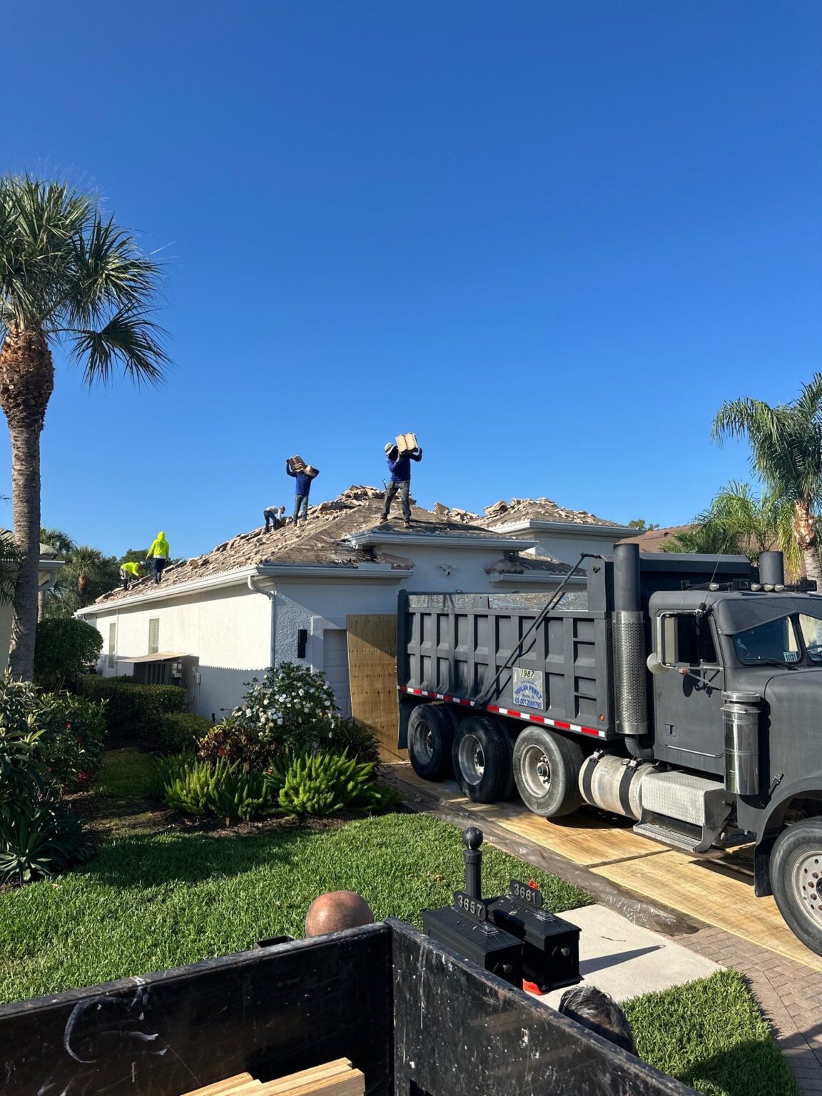 Plywood sheathing roof deck progress