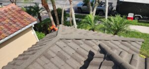 Shingle Roof Project